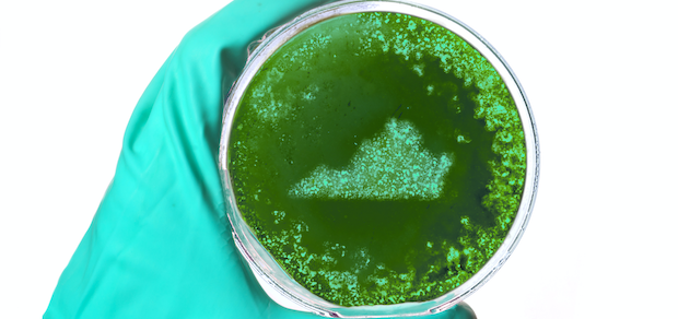 Virginia sports betting